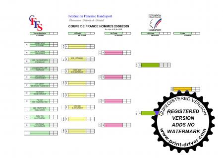 Coupe de France HOMMES 2008-2009